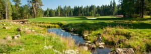 Golf course creek and green.