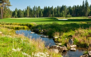 Golf course creek and green.