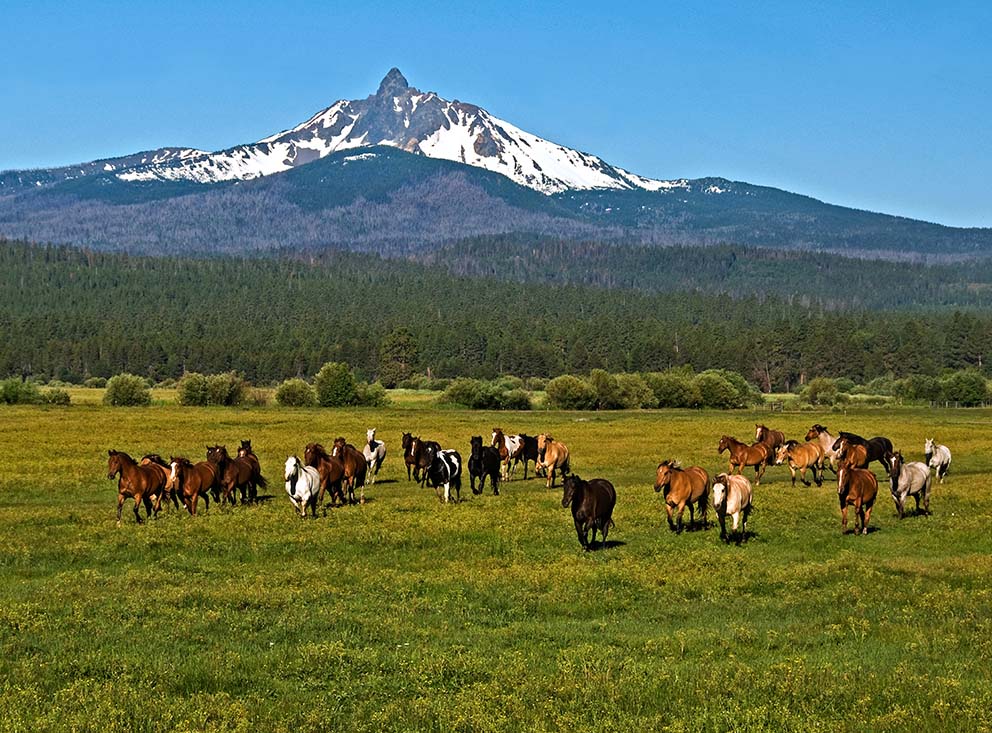 Things To Do In Sisters Oregon Black Butte Ranch