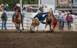 Man jumping from a horse to a steer.