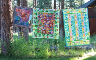 Three quilts hanging on a line.
