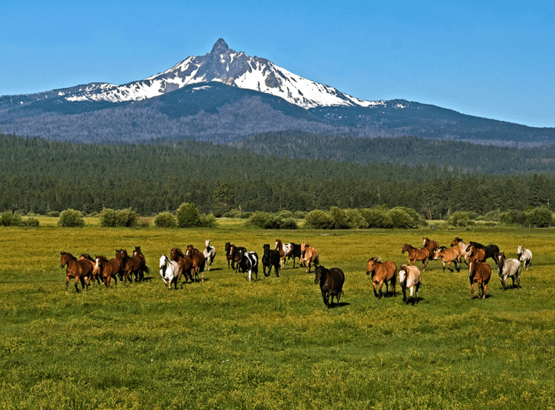things to do in Sisters Oregon