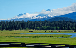 Black butte fields and mountains.