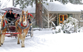 Horse-drawn sleigh in the snow.