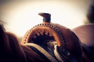 Saddle close up.