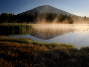 Morning fog on the lake.