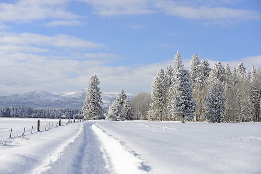 The Ultimate Winter Coloring Book: 101 Winter Scenes for Adults and  Seniors: A Holiday Coloring with Winter Landscapes, Winter Wonderlands and  More!