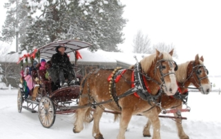 Horse drawn Carriage in the snow.