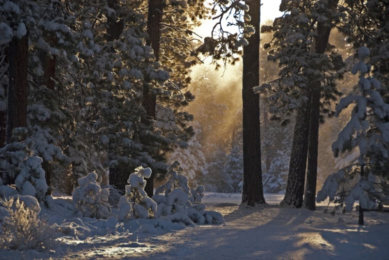 Black Butte Ranch rentals