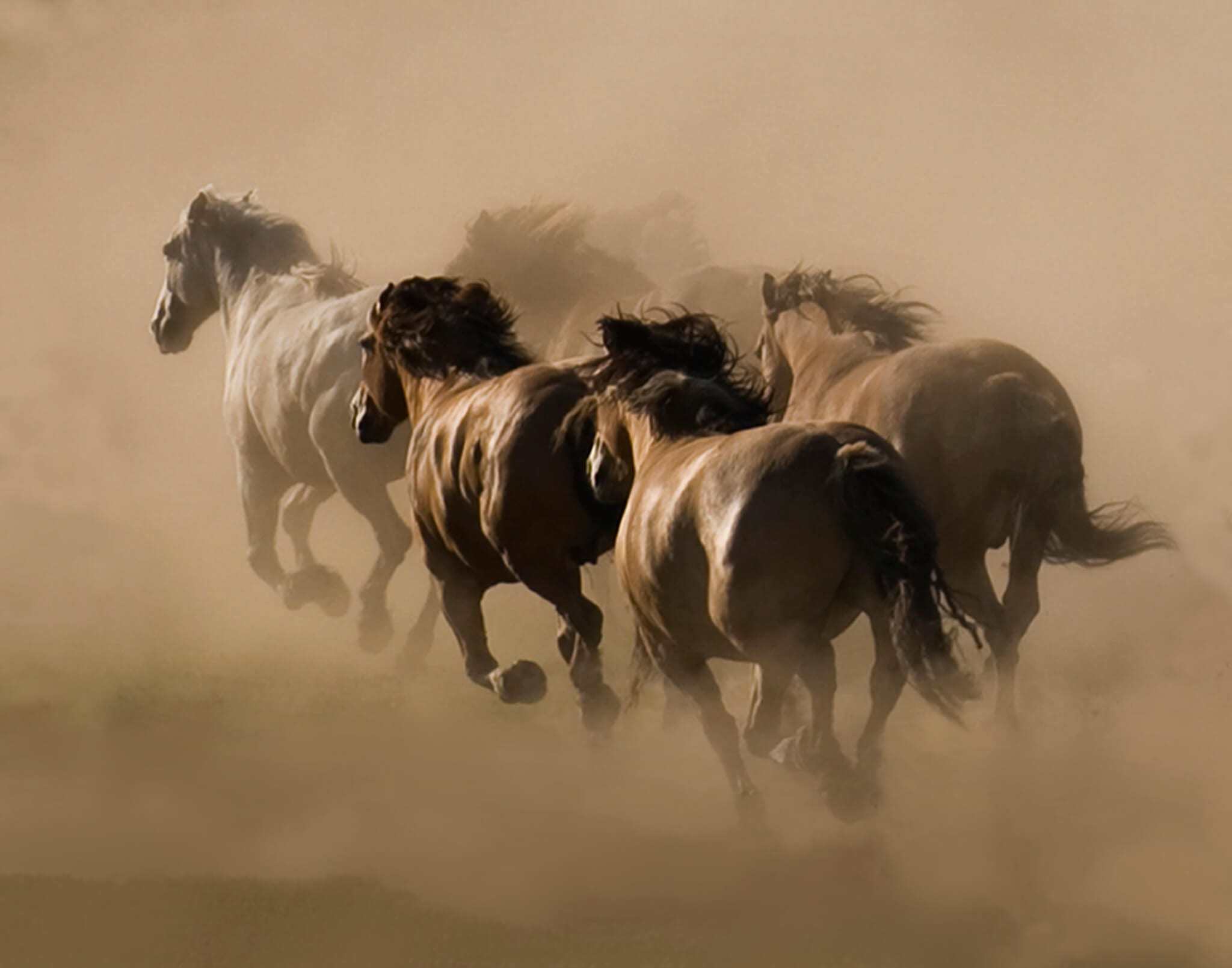 Horses galloping.