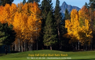 Golf course with fall tree colors.