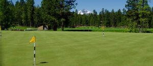 Golf green with holes and flags.