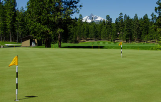 Golf green with holes and flags.