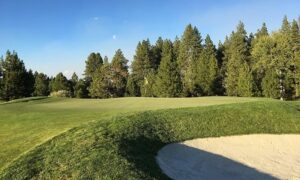 Sandtrap and green.