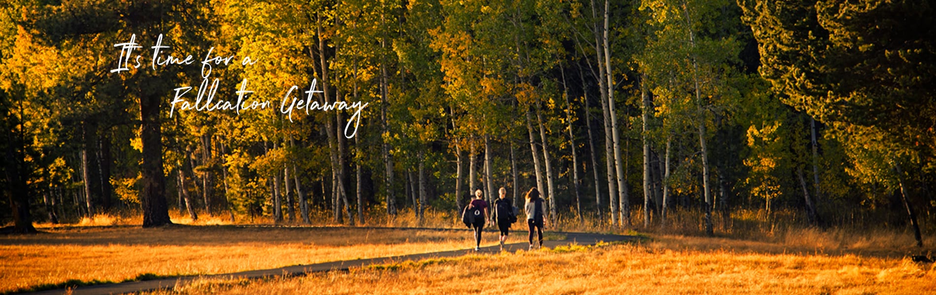 People walking in on an autumn trail. Text: It's Time for a Fallcation Getaway.