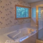 Glaze Meadow 314 - Bathroom with shower and bathtub