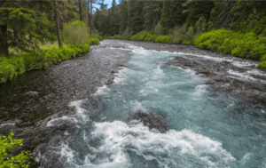 Picture of Wizard Falls Fish Hatchery.
