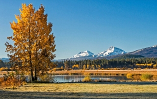 Picture of scenery outside our Central Oregon rentals.