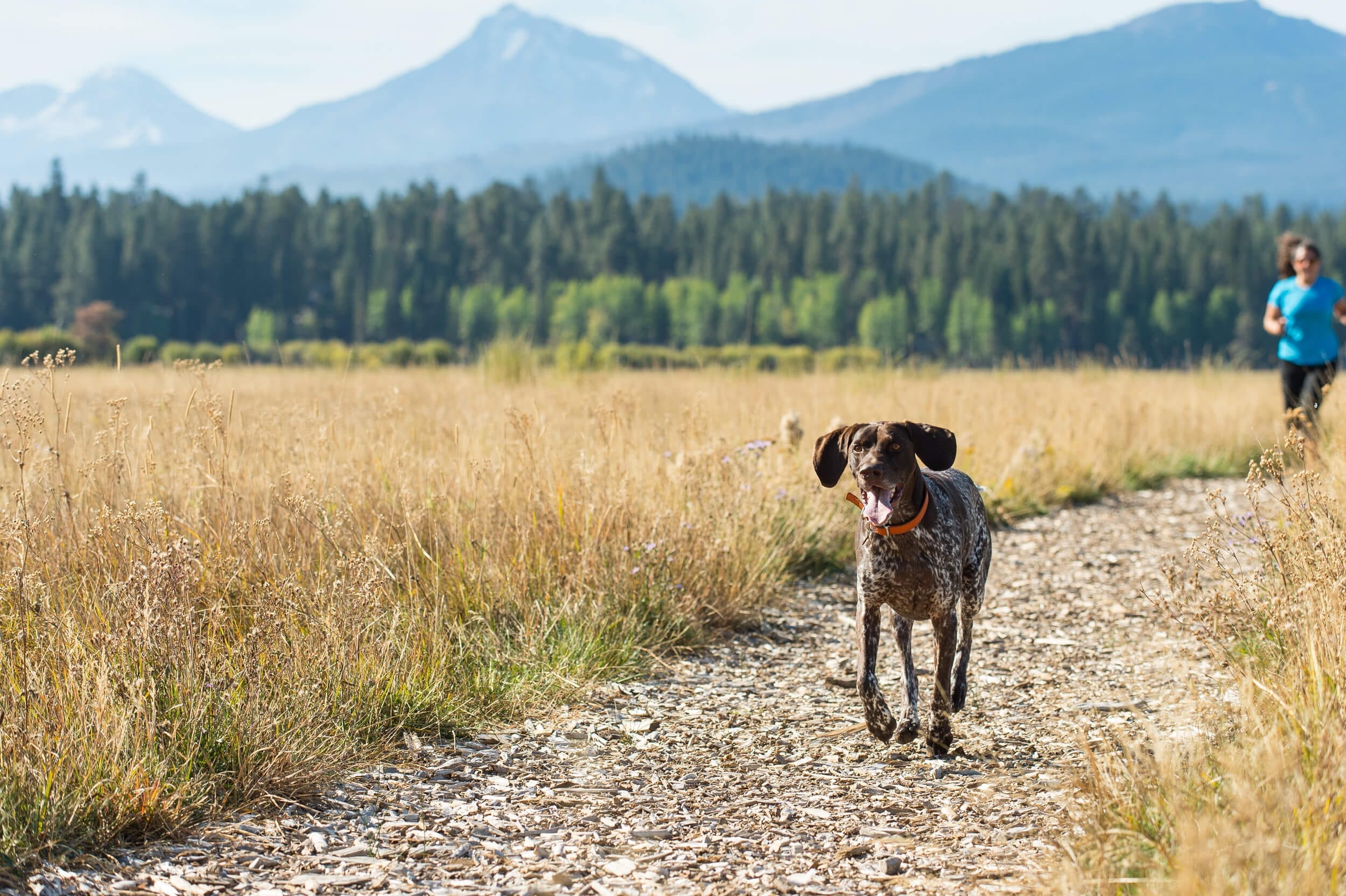 An image of a woman and her dog on one of the many hikes near Bend, Oregon.