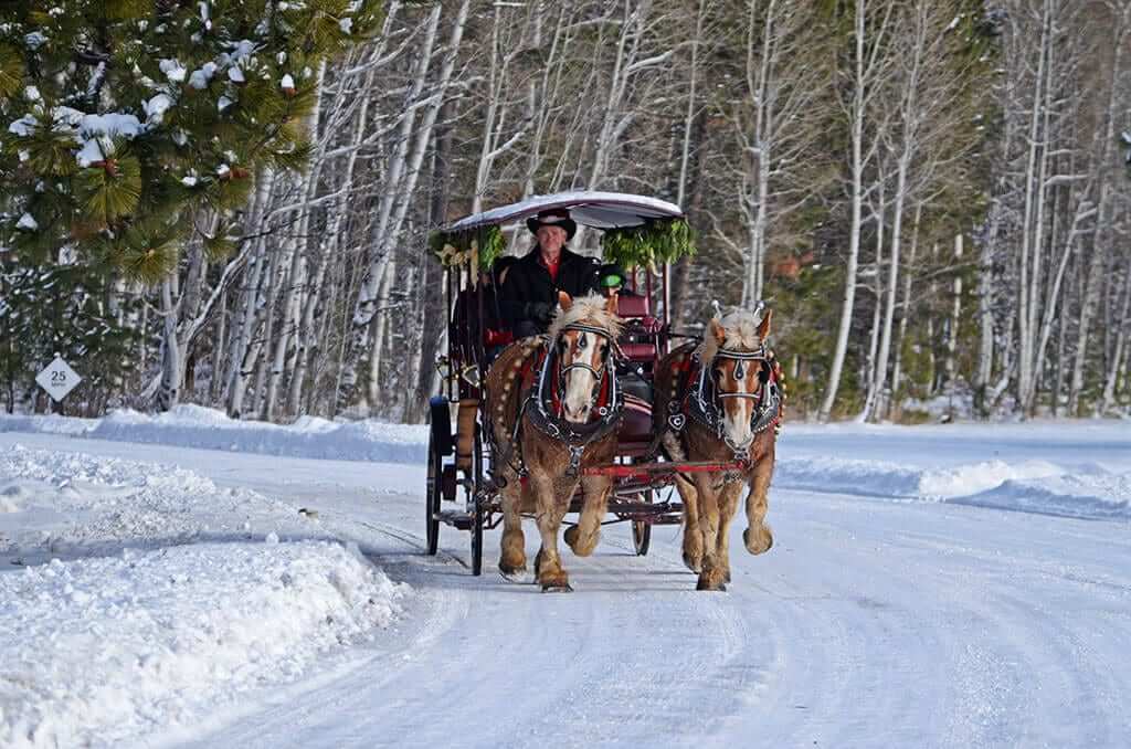 A carriage ride through Central Oregon in winter.