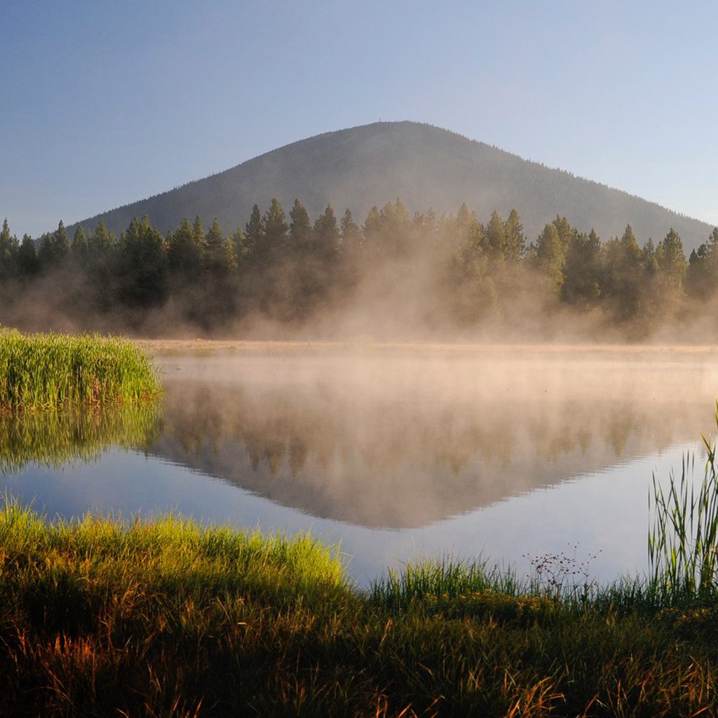 pia-blackbutte-back-lakes-340×340
