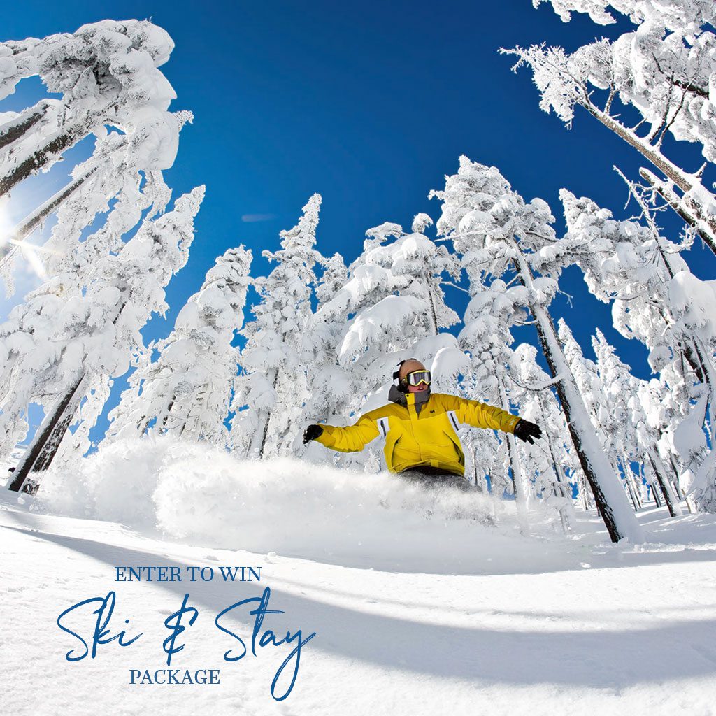 person snowboarding through a forest person snowboarding through a forest