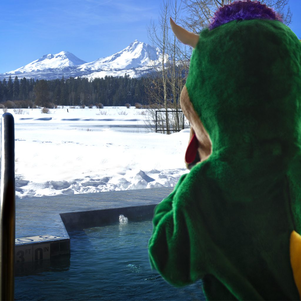 Hodag looking at the hot tub in winter.