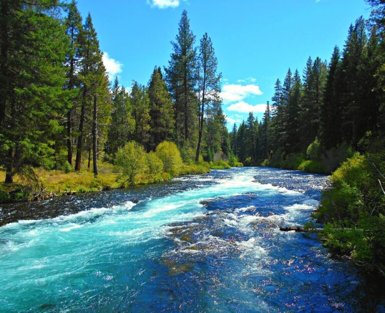 The view of a fish hatchery in Oregon.