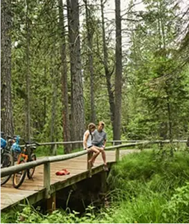 activity guide featured image