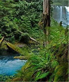 favorite trails featured image