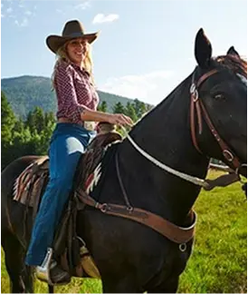 horseback riding featured image
