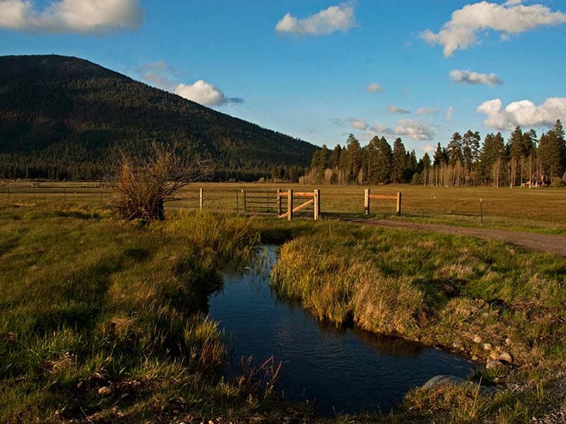 ranch-field-and-hill
