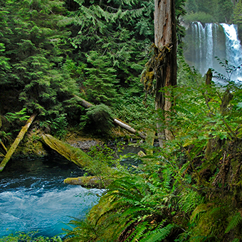 sahalie-falls-ktk-340x340-3