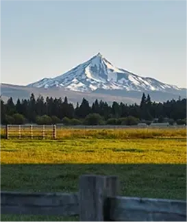 travel guide featured image