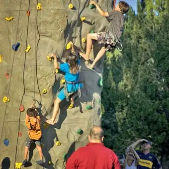 t-rec-climbing-wall_340x340