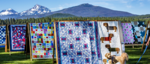 quilt-show-no-text_1400x600