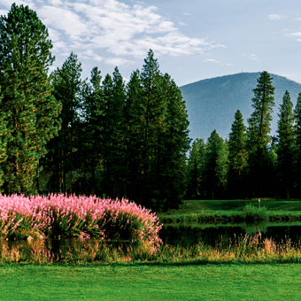 golf-gm3-fireweed_340x340