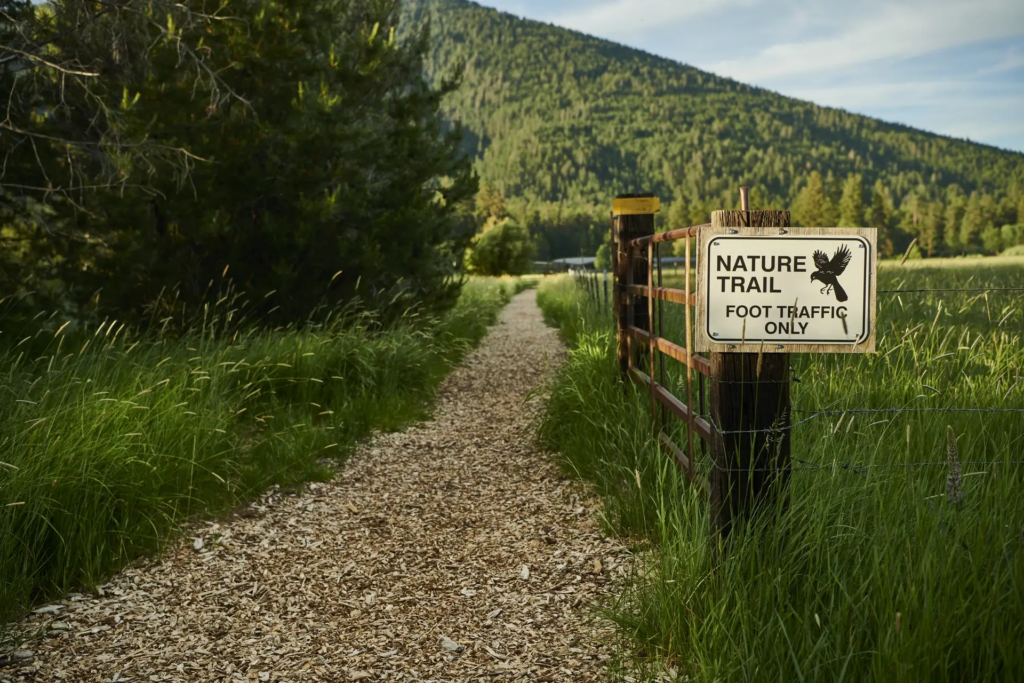A trail to hike, one of the best outdoor activities to enjoy in Oregon in spring.