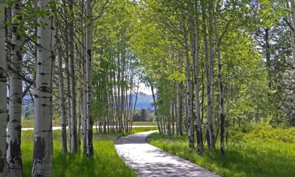 A trail to explore after visiting a spa in Sisters, Oregon.