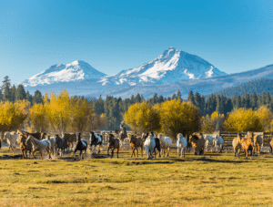 Horses at a resort in Sisters, Oregon, in the fall.